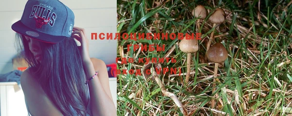 apvp Алексеевка