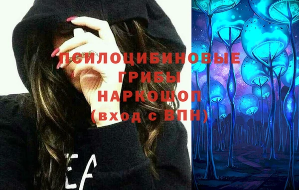 герыч Алексин