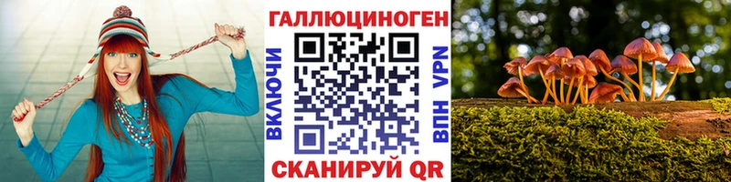 где найти наркотики  Сим  Галлюциногенные грибы мицелий 
