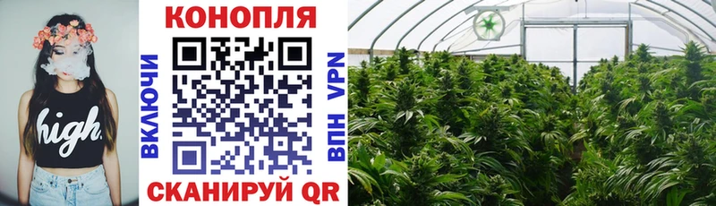 даркнет сайт  Сим  MEGA ТОР  Бошки Шишки OG Kush 